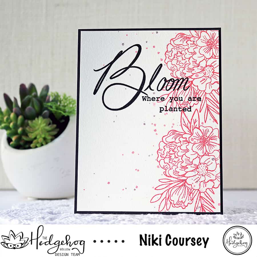 Beautiful Coral Blooms & Video, featuring the September Subscription Box from the Hedgehog Hollow