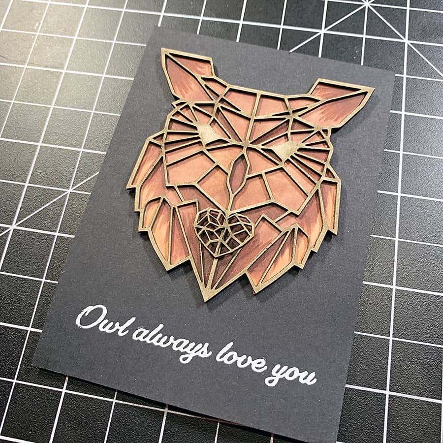 Owl Always Love You + Geo Background