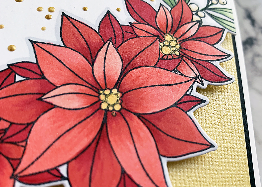 MLC November 2019 Challenge - Coloring Close up