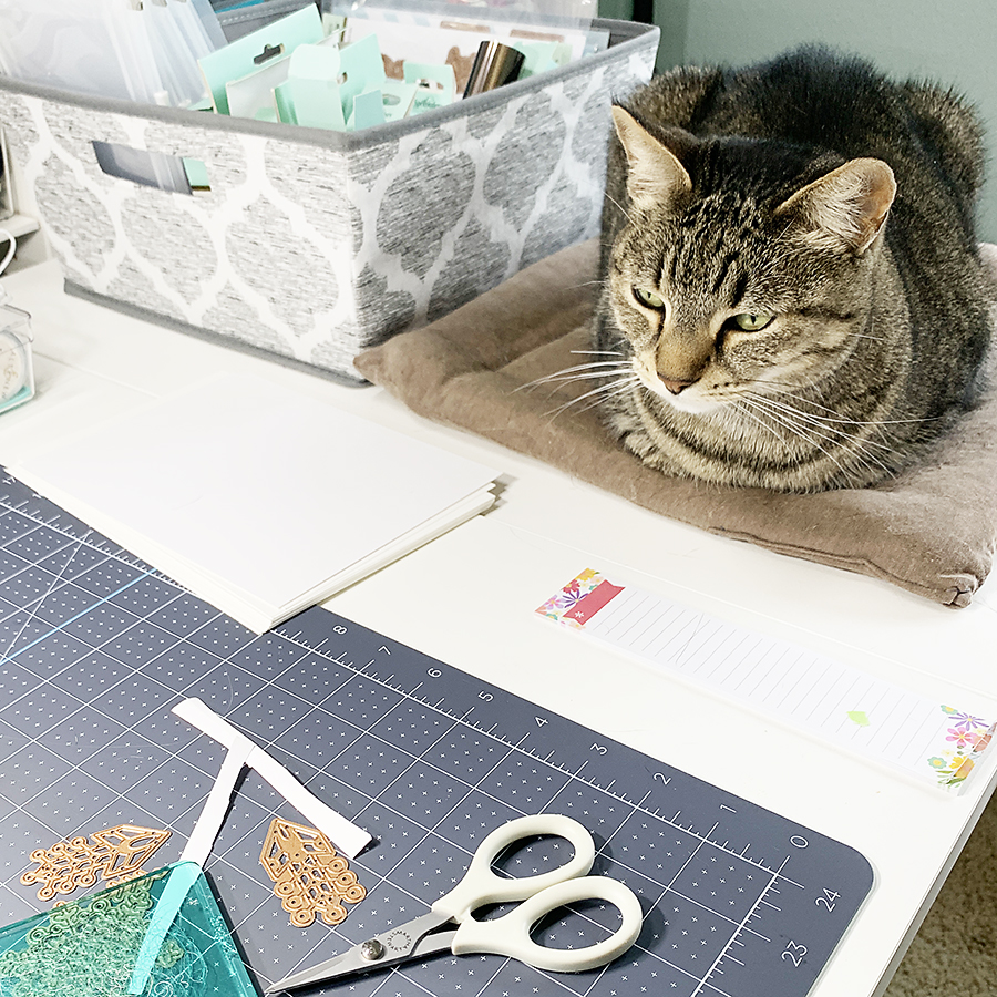 Awbee in her designated spot in my craftroom.